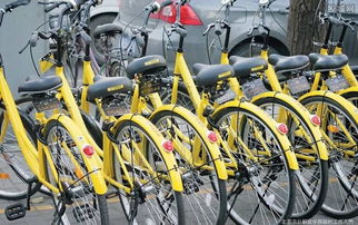 共享单车订单潮席卷，自行车产业链迎来“第二春”