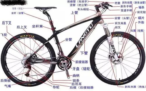 骑行零基础班招募 两小时点亮终身技能，学费全返助力成长